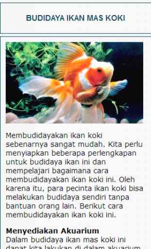 Budidaya Ikan 4