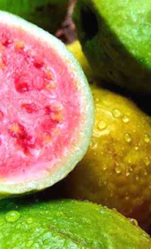 Guava Benefits 4