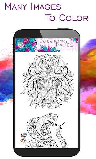 MY coloring book: Coloring pages and mandala 3
