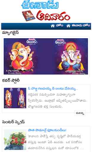 Telugu Sunday Books- Magazines,Papers,News,Reviews 2