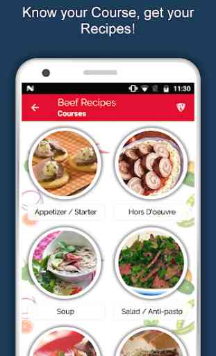 All Beef Recipes Offline, Yummy Meat Recipes Free 2