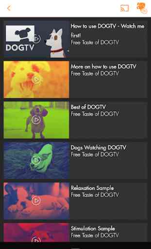 DOGTV 1