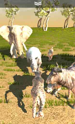 Leopard Game 3D - Safari Animal Simulator 3