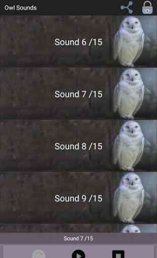 Owl Sounds 2