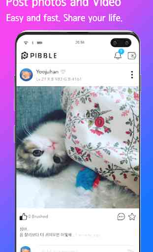 Pibble  -  Next Entertainment Social App 3