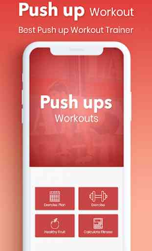Push Ups Workout 1
