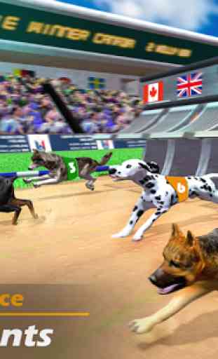 Racing Dog Simulator: Crazy Dog Racing Games 1