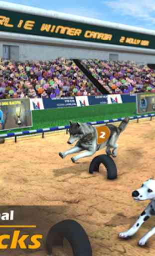 Racing Dog Simulator: Crazy Dog Racing Games 2