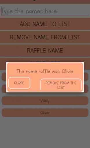 Raffle: Names and Numbers 3