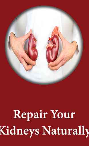 Repair Your Kidneys Naturally 1