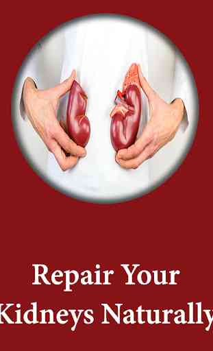Repair Your Kidneys Naturally 4