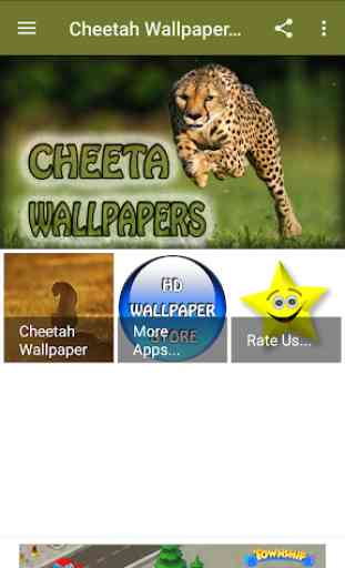 Cheetah Wallpaper Hd 1