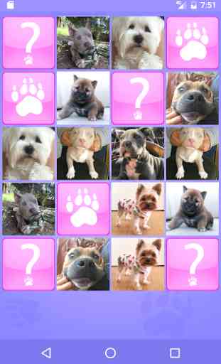 Cute Dogs Memory Matching Game 1