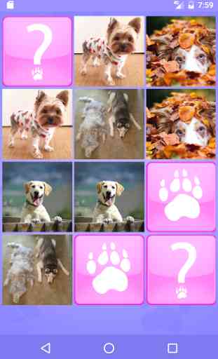 Cute Dogs Memory Matching Game 4
