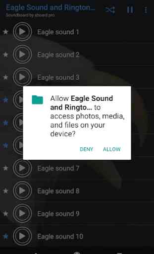 Eagle Sounds ~ Sboard.pro 1