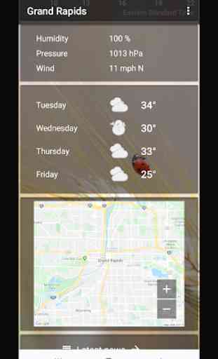 Grand Rapids,  Michigan - weather and more 2