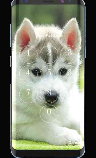Husky Puppies Lock Screen 1