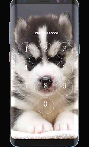 Husky Puppies Lock Screen 2