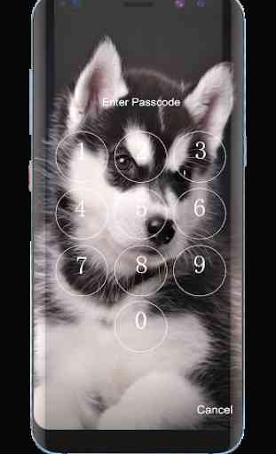 Husky Puppies Lock Screen 3