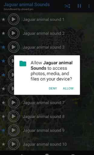 Jaguar (Animal) sounds ~ Sboard.pro 2
