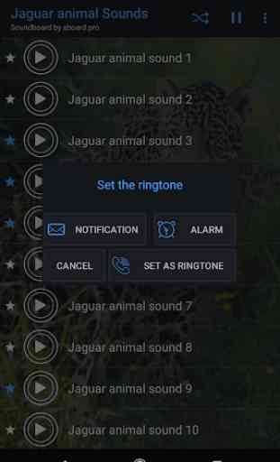 Jaguar (Animal) sounds ~ Sboard.pro 3