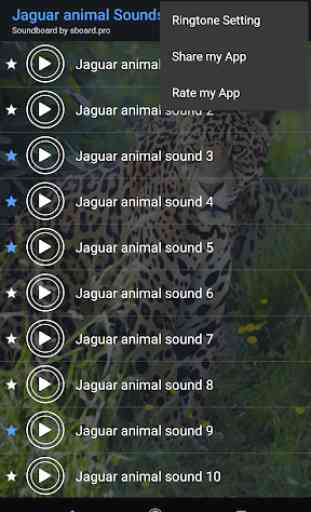 Jaguar (Animal) sounds ~ Sboard.pro 4