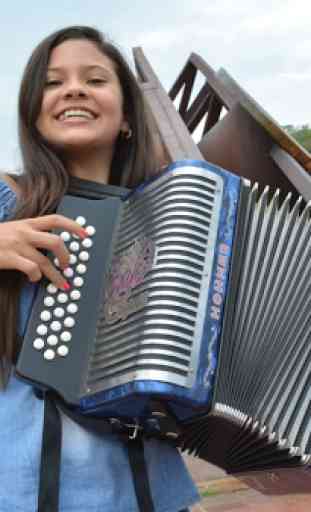 Learning to play the accordion 4