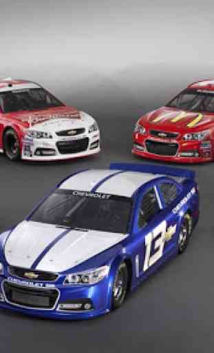 Stock Cars for NASCAR Wallpaper 2