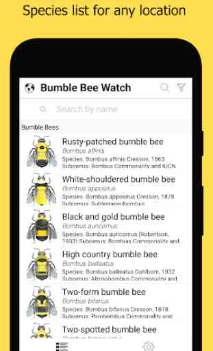 Bumble Bee Watch 1