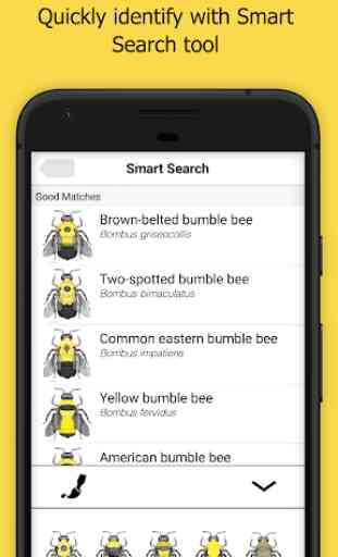 Bumble Bee Watch 3