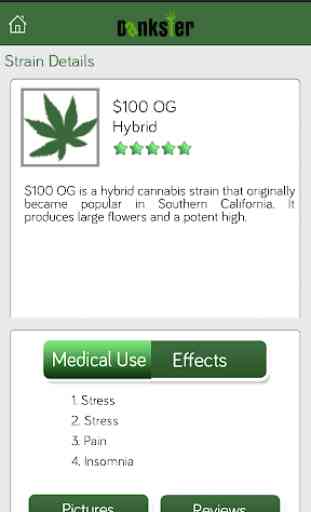 Dankster Marijuana Dispensaries 3