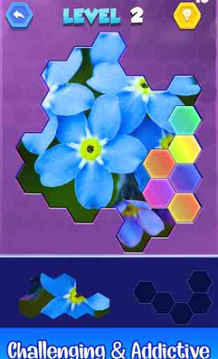 Jigsaw Hexa Puzzle - Block Hexa Puzzle Game 2