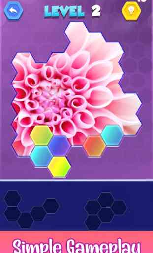 Jigsaw Hexa Puzzle - Block Hexa Puzzle Game 4