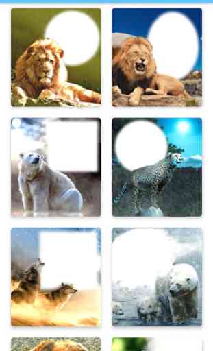 Wild Animal Photo Frames 4