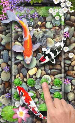 3D Koi Fish Theme and Animated Ripple Effect 2
