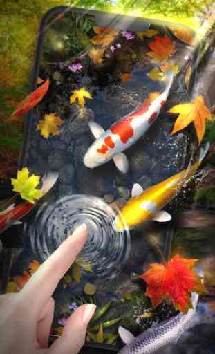 Autumn Koi Fish Live Wallpaper 2