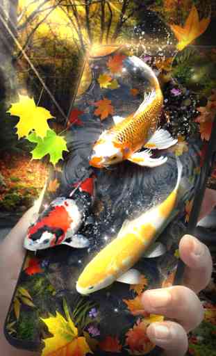 Autumn Koi Fish Live Wallpaper 3