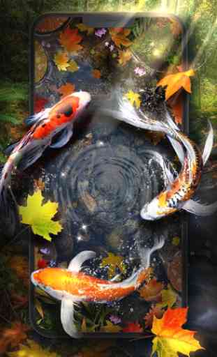 Autumn Koi Fish Live Wallpaper 4