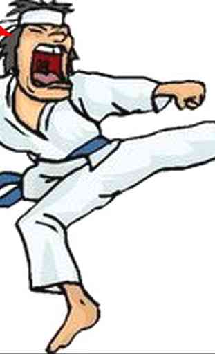 Best Karate Technique 3