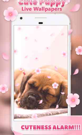 Cute Puppy Live Wallpapers  1