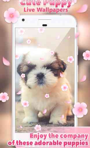 Cute Puppy Live Wallpapers  3