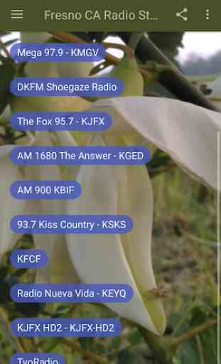Fresno CA Radio Stations 3