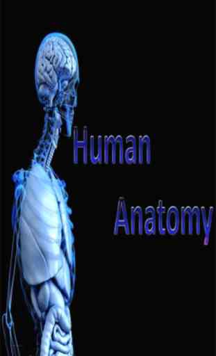 Human Anatomy For Medical Students 2