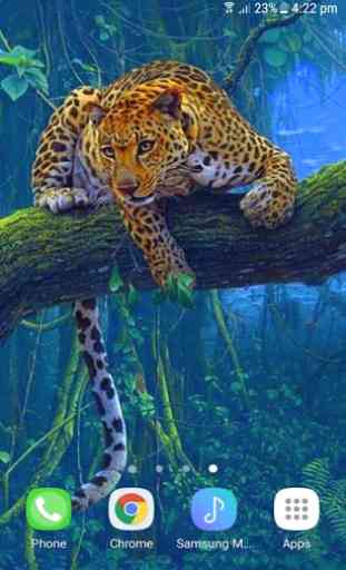 Jungle Leopard Live Wallpaper 2