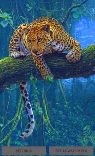 Jungle Leopard Live Wallpaper 3