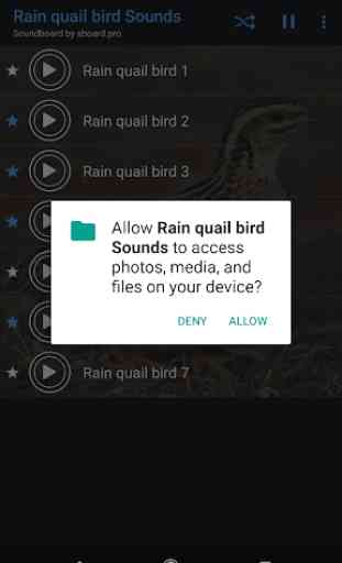 Rain quail bird Sounds ~ Sboard.pro 2