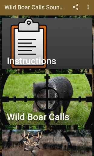 Wild Boar Hunting Calls 1