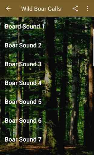 Wild Boar Hunting Calls 3