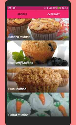 Muffin Recipes 1