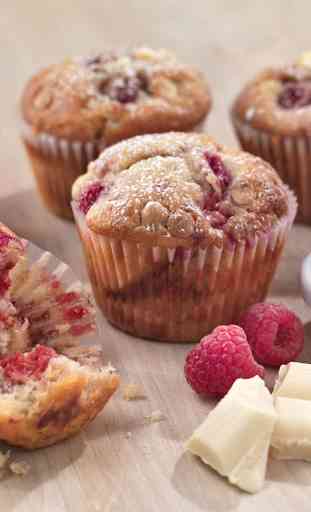 Muffin Recipes 2